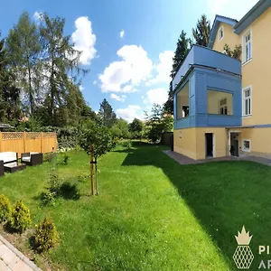 Pineapple Dresdner Heide Mit Garten Apartament Drezno